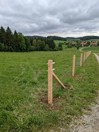 Weidezaun in Koblenz - fachgerechte Ausführung vor Ort